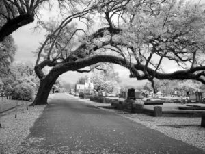 cemetery-1635876_1920