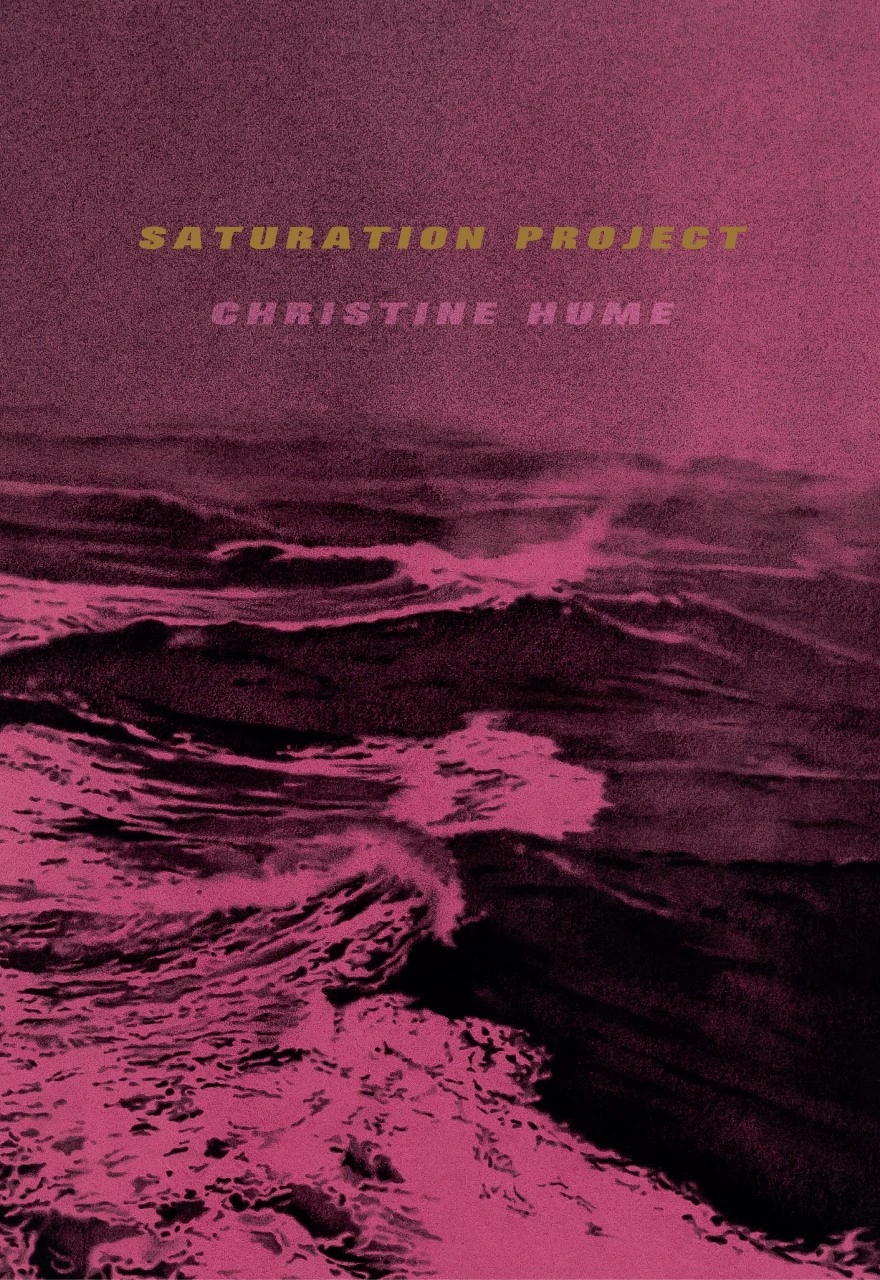 Excerpt: Christine Hume’s SATURATION PROJECT