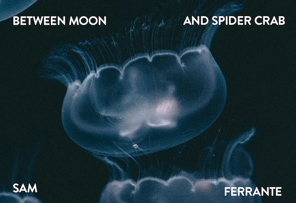 Between Moon and Spider Crab by Sam Ferrante