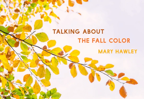 Talking About the Fall Color by Mary Hawley