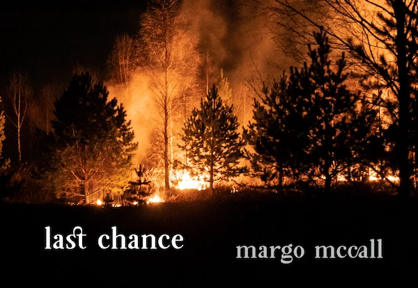 Last Chance by Margo McCall