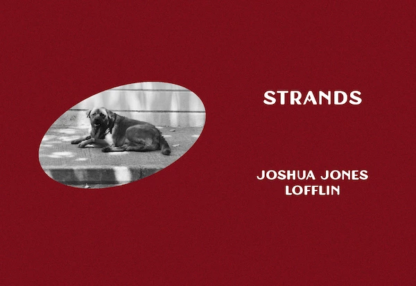Strands by Joshua Jones Lofflin