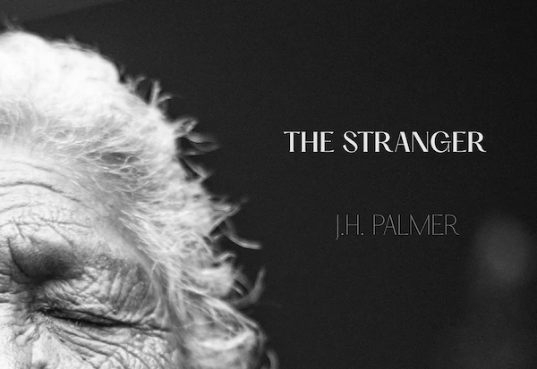 The Stranger by J.H. Palmer