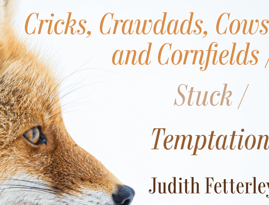 Creative Nonfiction by Judith Fetterley