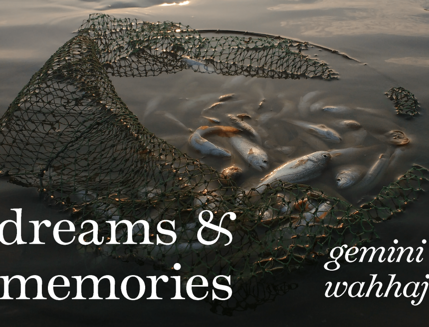 Dreams & Memories by Gemini Wahhaj