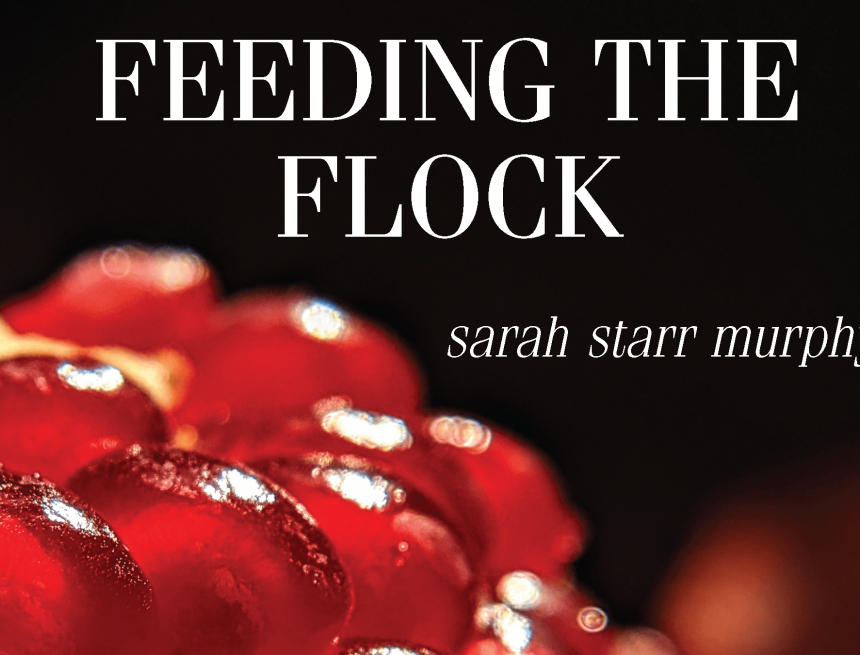 Feeding the Flock by Sarah Starr Murphy