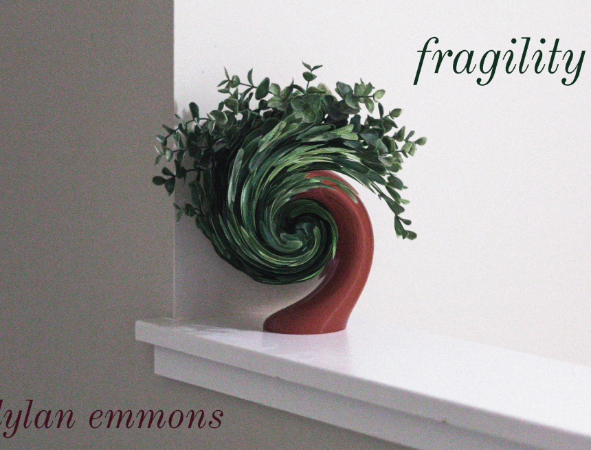 Fragility by Dylan Emmons