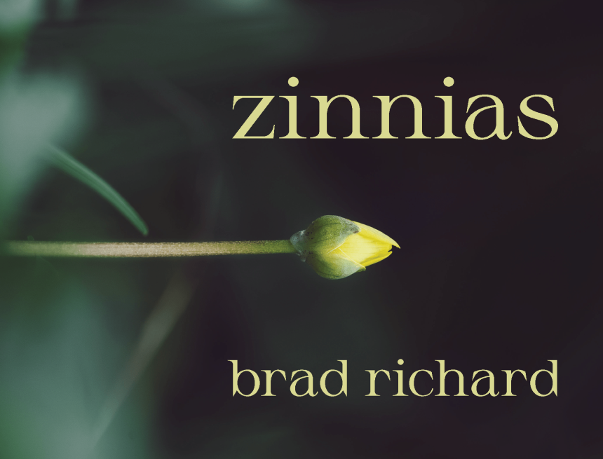 Zinnias by Brad Richard