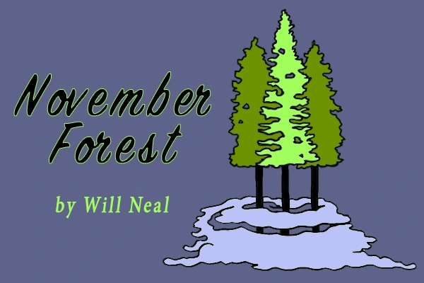 November Forest by Will Neal