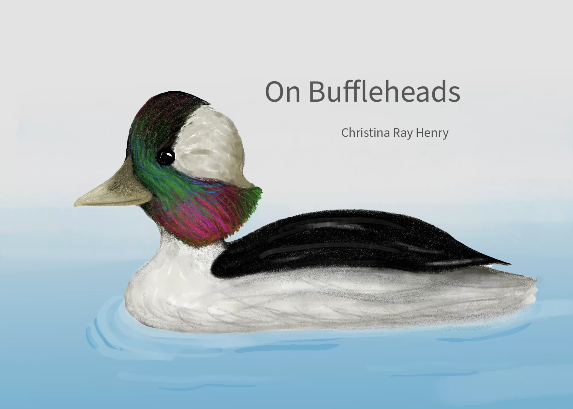 On Buffleheads by Christina Ray Henry