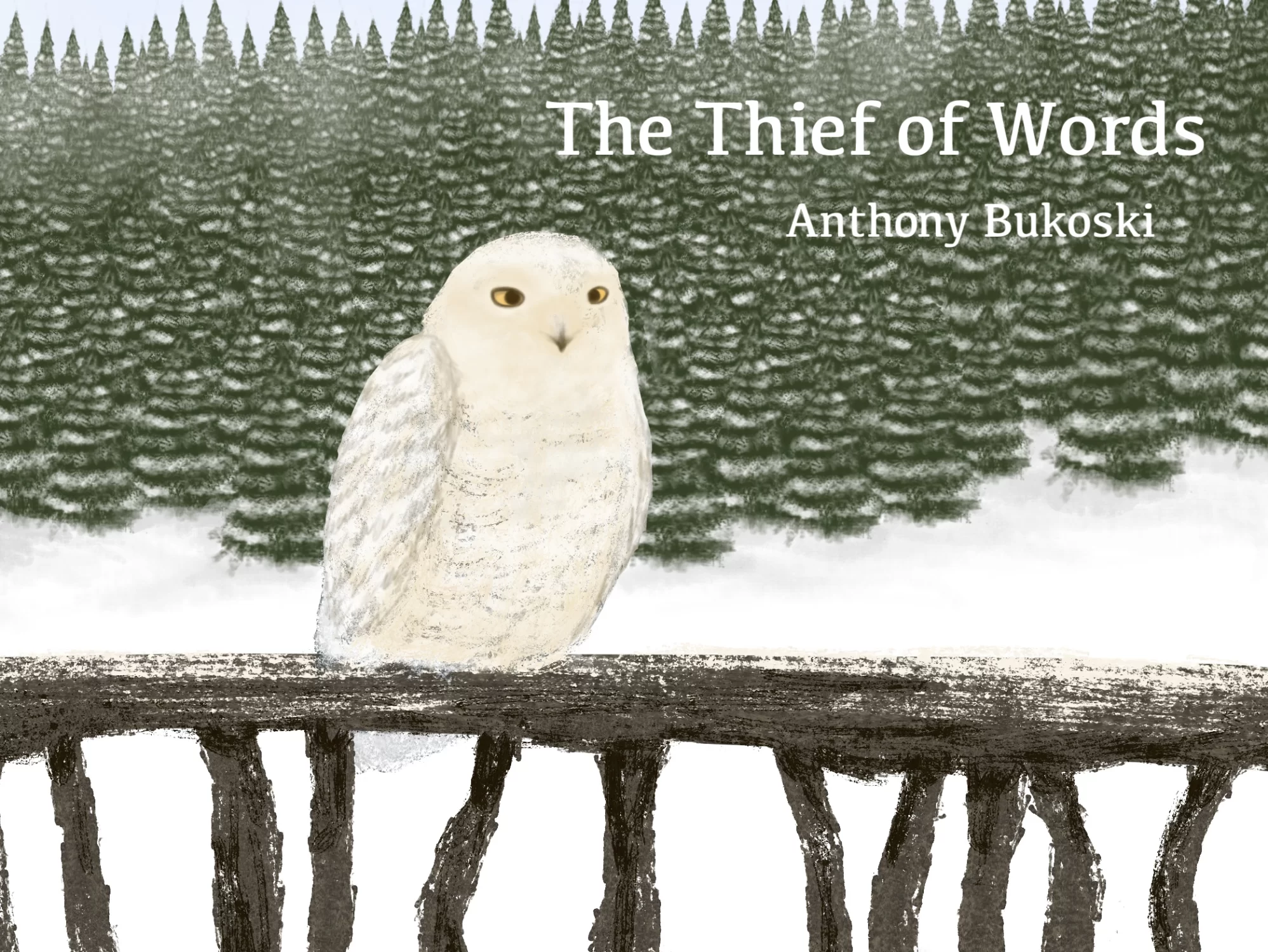 The Thief of Words by Anthony Bukoski